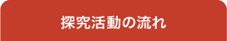 探究活動の流れ