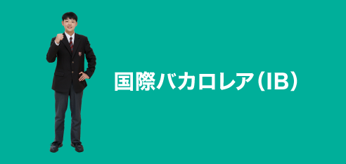 国際バカロレア(IB):ib